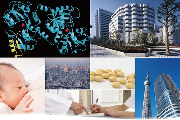 ���{���N�g�t�F�����w���5��w�p�W��J�Â̂��m�点  