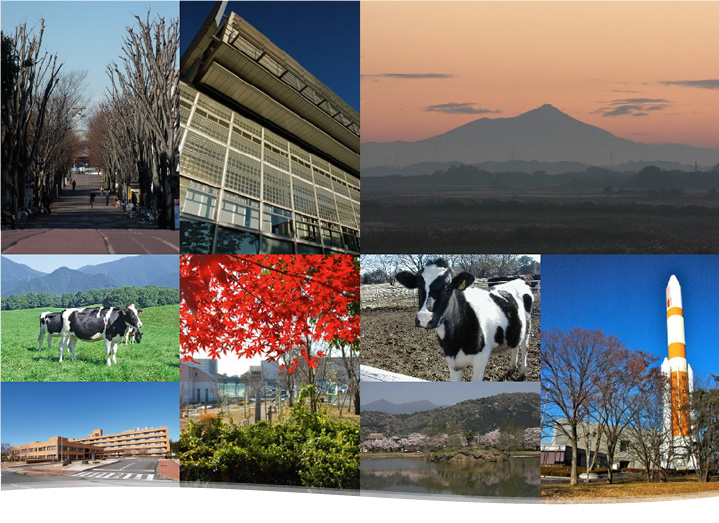 日本ラクトフェリン学会第6回学術集会開催のお知らせ  